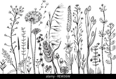 Wild Flowers with leaves. Set of Wedding botanical plant with leaf and buds. Botanical organic spring herb. Engraved hand drawn in doodle sketch. Collection for cards and labels, books and banners. Stock Vector