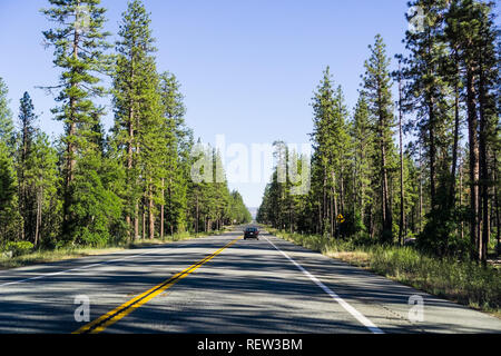 Driving through Shasta National Forest in Northern California; evergreen trees line up the highway and cast long afternoon shadows on the road Stock Photo