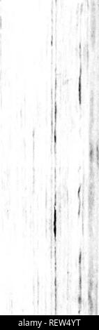 . The natural and civil history of Vermont [microform]. Natural history; Sciences naturelles. t HISTORY OF VERMONT. 45 cr the waters are raised to their greatest height. These intervales are level, and extensive plains ; of the same altitude as the banks of the river ; in width they often reach from a quarter of a mile, to a mile and an half, sometimes on one, and sometimes on both sides of the river. There are frequently two strata of the intervales, the one four or five feet higher than the other ; the highest of which is not overflowed, but when the waters are raised to an uncommon height ; Stock Photo