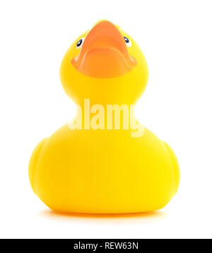 Isolated yellow rubber duck. Low view of a cute yellow rubber ducky on a white background. Stock Photo