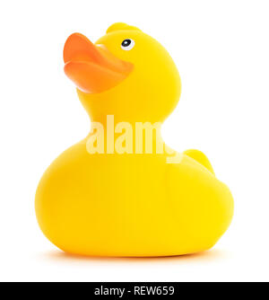 Isolated yellow rubber duck. Low view of a cute yellow rubber ducky on a white background.