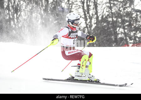 Zagreb, Croatia - January 6, 2019 : Albert Popov from Bulgaria competes during the Audi FIS Alpine Ski World Cup Mens Slalom, Snow Queen Trophy 2019 i Stock Photo