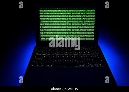Laptop, symbolic image, cybercrime, computer crime, computer hacker, data security, Germany Stock Photo