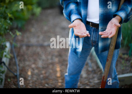 Hands of a mature man while he stands in his garden. Stock Photo