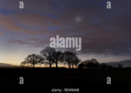 Venus shines through an early morning veil of cloud as dawn rises agianst distant trees Oakley Hampshire Stock Photo