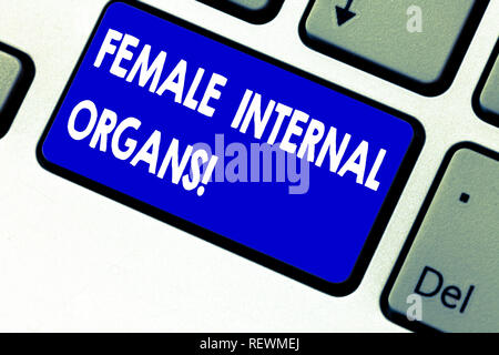 Writing note showing Female Internal Organs. Business photo showcasing The internal genital structures of the Keyboard key Intention to create compute Stock Photo