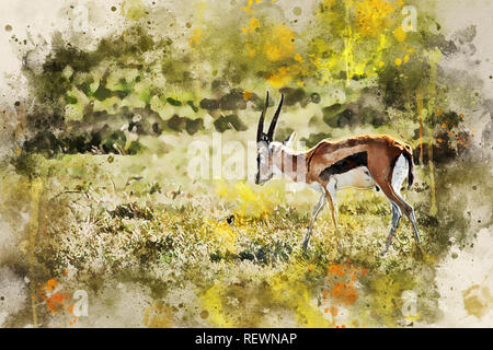 Wild Thompson's gazelle or Eudorcas thomsonii in savannah Stock Photo