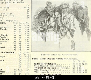 . Dreer's wholesale price list : tools, fertilizers, insecticides, sundries, etc. Bulbs (Plants) Catalogs; Flowers Seeds Catalogs; Vegetables Seeds Catalogs; Nurseries (Horticulture) Catalogs. DKEE^'S VEGETABLE SEEDS -FOR 1902 We are pleased to offer the following varieties of Choice Vegetable Seeds. The list is made up of many standard varieties, and also includes some new and meritorious sorts. All of our vegetable seeds are saved with great care and are pure and of strong germination. Florists who also grow vegetables for market should have our Market Gardeners' Wholesale Price List, which  Stock Photo