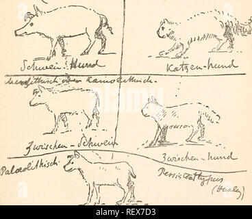 EMMA WEDGWOOD DARWIN /n(18081896). Wife of Charles Robert Darwin Stock
