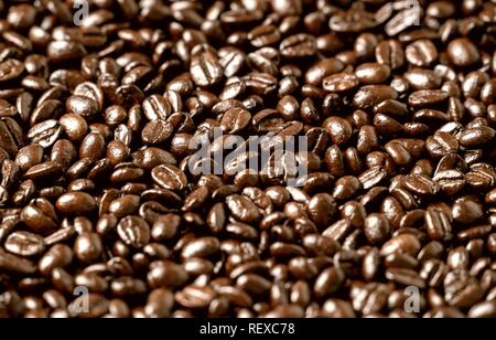 Roasted coffee beans on a flat background textured Stock Photo