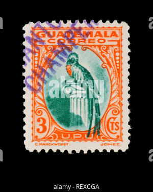 Postage stamp from Guatemala depicting a quetzal, national bird. Stock Photo