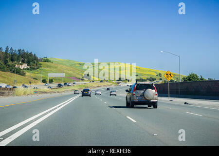 April 30, 2017 - Fremont/CA/USA - Driving on the freeway through hills covered in wildflowers in south San Francisco bay area Stock Photo