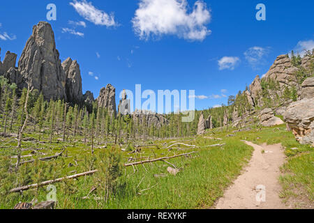 Quiet Trail Through a Mountain Valley in the Needles and Cathedral Spires Section of the Black Hills in Custer State Park in South Dakota Stock Photo