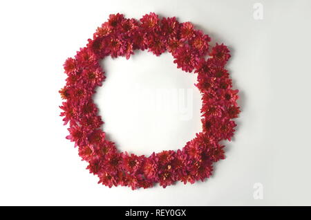 Fall autumn floral background with deep red chrysantemums on white with copy space. Greeting card mockup and border. Desktop workspace flat layout. Stock Photo
