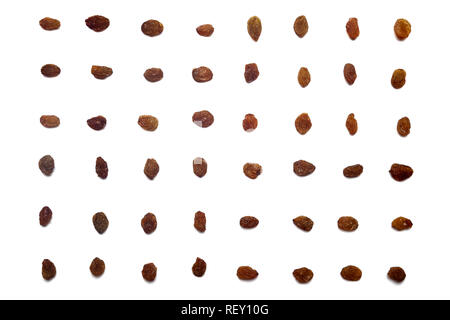 A collection of  Brown raisins lie in horizontal rows on an isolated white background. with clipping path.  Brown raisins  pattern Stock Photo