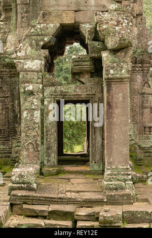 View through ruined temple entrance to forest Stock Photo