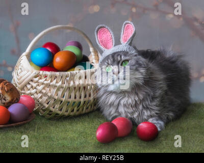 Young kitty in the image of the Ester bunny Stock Photo