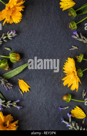Wild Flowers composition. Frame made of various colourful flowers on  dark background. Flat lay, top view, copy space, vertical composition Stock Photo