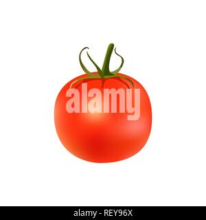 Ripe red tomato with green stem isolated on white background Stock Vector