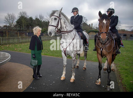 The Duchess of Cornwall meets two police horses and their riders, named Rebel, left, and Urbane, right, with riders Officier Turnball, and Goldstien, during her visit to Caxton Hall Community Centre where she met members of the Malmesbury Residents Association taking part in a litter pick. Stock Photo