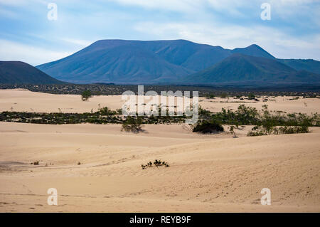 Corralejo Natural Park on Fuerteventura, Canary Islands Stock Photo