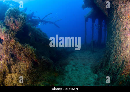 HMS Maori Wreck in Malta Stock Photo