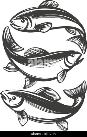 fish set icon, fishing symbol, hand drawn vector illustration realistic sketch Stock Vector