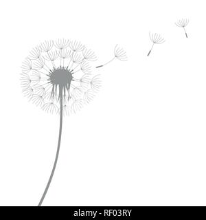 dandelion silhouette with flying seeds isolated on white background vector illustration EPS10 Stock Vector