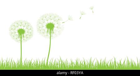 two dandelion silhouette with flying seeds on green meadow on white background vector illustration EPS10 Stock Vector