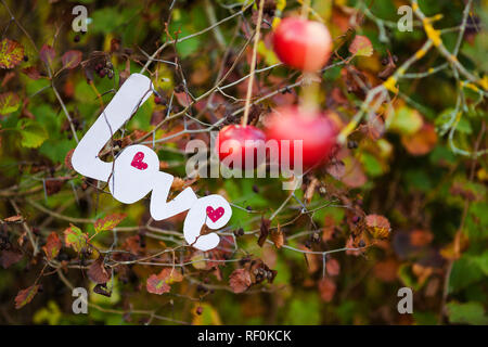 Decorative letters forming word love with apples Stock Photo