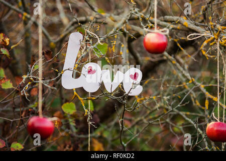 Decorative letters forming word love with apples Stock Photo