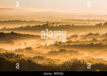 Sunrise misty dawn in Pembrokeshire across fields to Preselli Hills