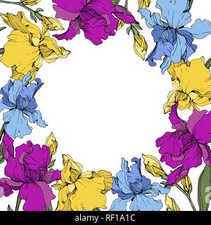 Iris Flower Outline Banner Wreath. Vector Illustration Stock Vector Art