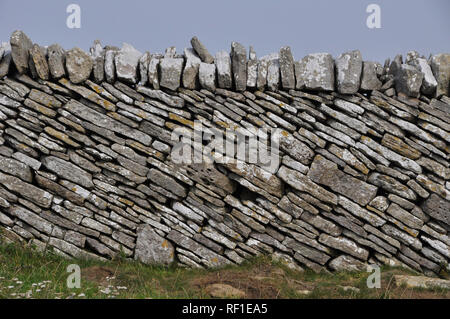 Dry stone wall with sloping courses topped with vertical capping stones on the Isle of Purbeck, Dorset. Rough limestone walls divides  coastal fields. Stock Photo