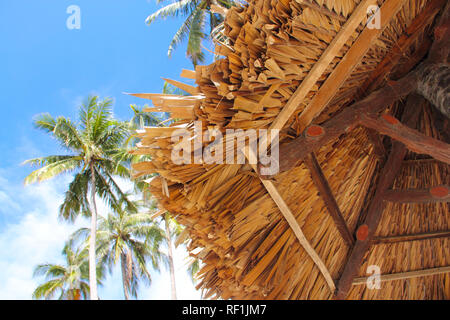 Thatch roof and palm trees over blue sky background tourist resort concept Stock Photo