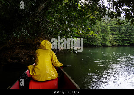 Woman in yellow rain jacket waiting for rain to stop under a tree while canoeing on a river in mangrove forest, Iriomote, Japan Stock Photo