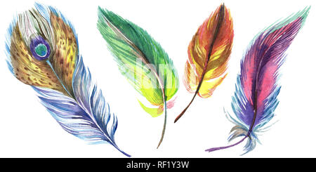 Colorful feathers. Watercolor bird feather from wing isolated. Aquarelle feather for background, texture, wrapper pattern, frame or border. Isolated f Stock Photo