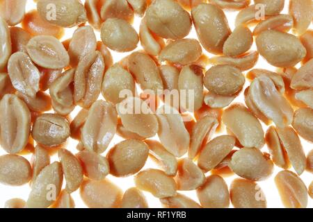 Salted peanuts Stock Photo