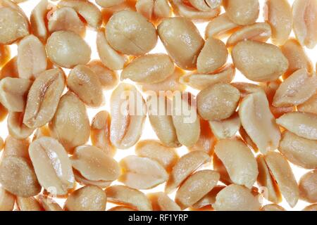 Salted peanuts Stock Photo