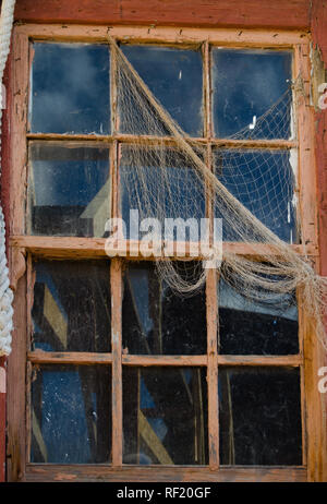 Old broken window with artificial spider web Stock Photo