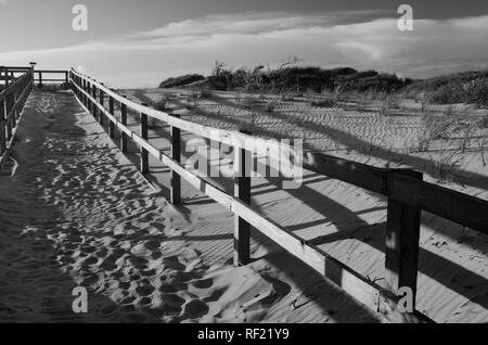 Black and white image of a beach path through sand in Virginia Beach, Virginia Stock Photo