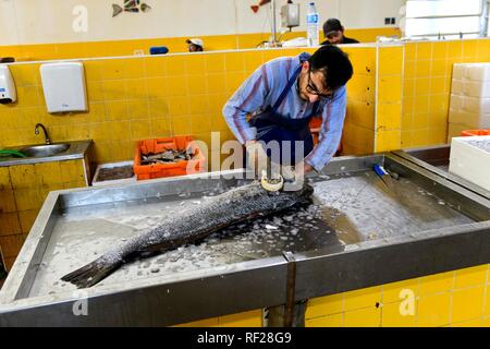 Fishmonger cleans a large fish at the fish market, Tavira, Algarve, Portugal Stock Photo