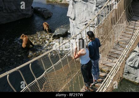 Suspension Bridge going over a river in the Kodiak Bear (Ursus arctos middendorffi) habitat, ZOOM Erlebniswelt, modern zoo Stock Photo