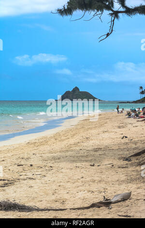 View of Mokulua Island from the sand beach of Lanikai, Oahu, Hawaii Stock Photo