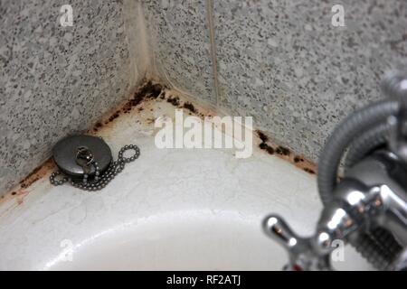 Black mould on the seams of tiles in a bathroom, bathtub Stock Photo