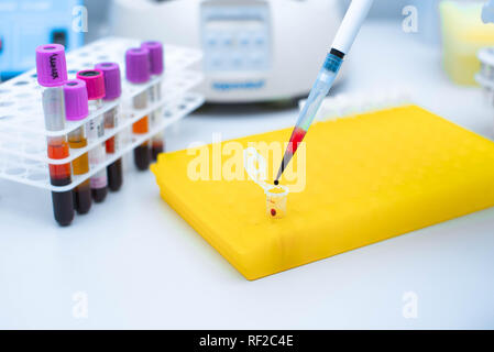 Dna test in the lab. Dispenser with blood and test tubes close-up. A drop of blood. Stock Photo