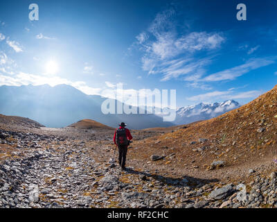 Italy, Trentino, Monte Cevedale, Punta San Matteo, Forno glacier, hiker Stock Photo