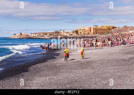 Playa Enramada, La Caleta, Costa Adeje, Tenerife. 20 January 2019. The annual bathing of the horses in the sea as part of the San Sebastian fiestas in Stock Photo