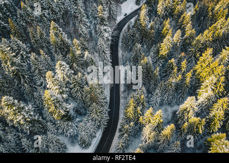 Snow covered forest with road Stock Photo