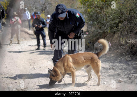 23 January 2019, Mexico, Huitzuco: A police sniffer dog helps in the search for hidden graves. More than 40,000 people are considered missing in Mexico. A group of relatives tries on their own to find hidden graves and thus perhaps to make the mourning possible for some families. (to dpa 'The Search for Certainty - Hidden Tombs in Mexico' of 24.01.2019) Photo: Jesus Alvarado/dpa Stock Photo